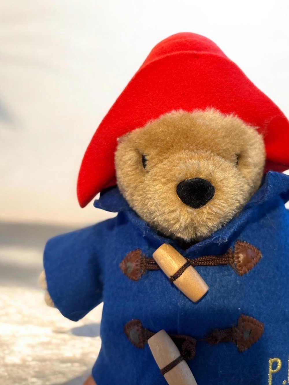 Harrods Rainbow Designs Paddington Bear Plush Toy 22cm Red Hat Blue Coat NWT⁠